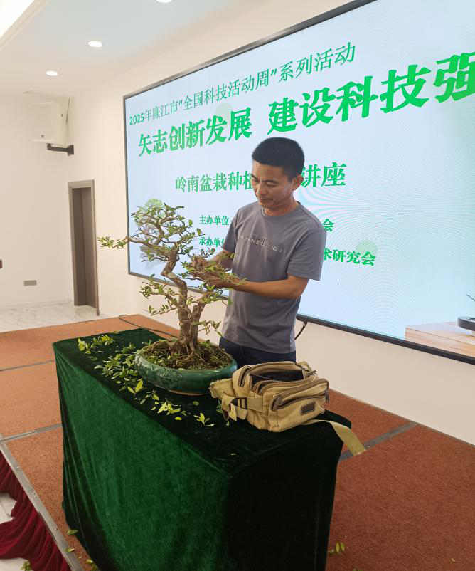 图片13.png 图片13.png