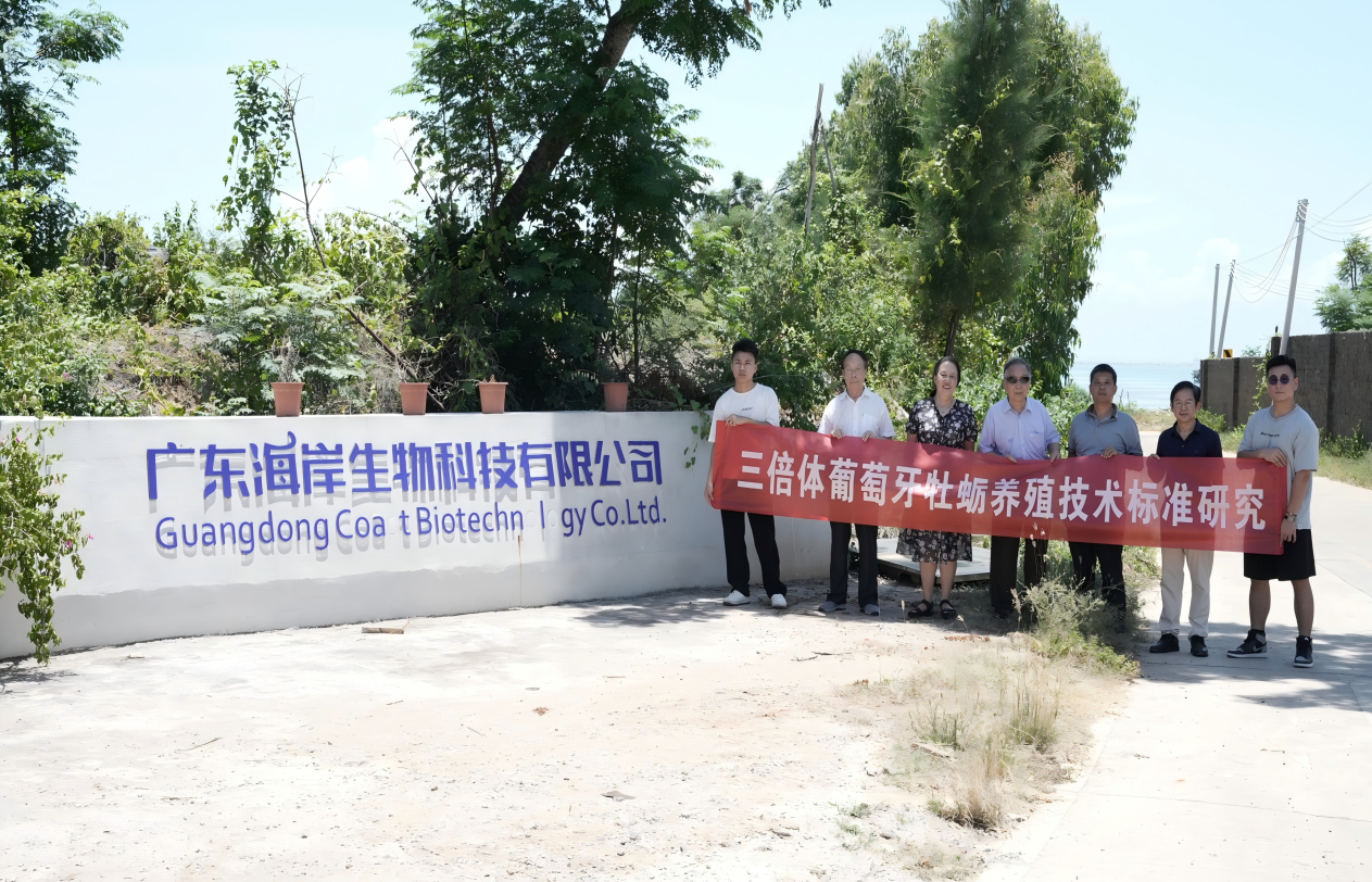 图片13.png