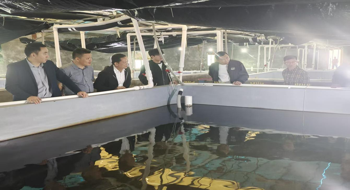 图片15.png 图片15.png