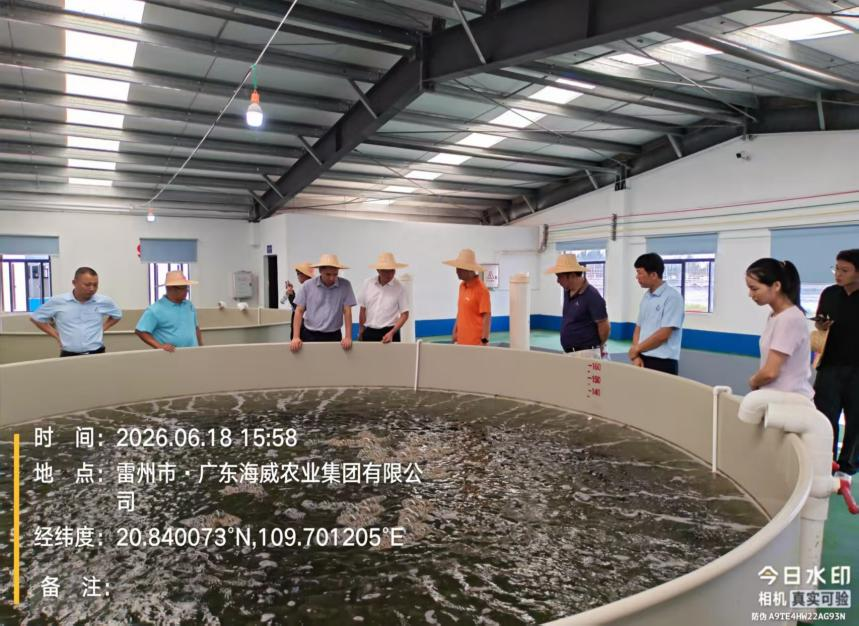 图片20.png 图片20.png
